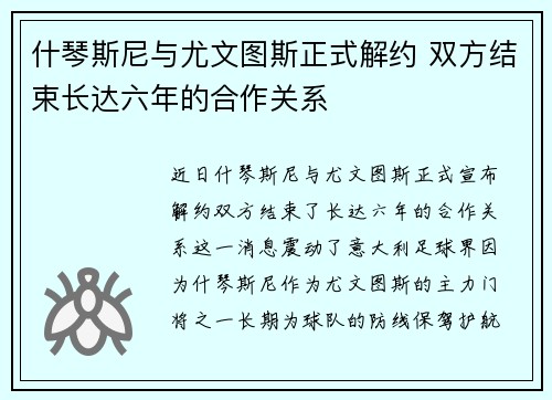 什琴斯尼与尤文图斯正式解约 双方结束长达六年的合作关系